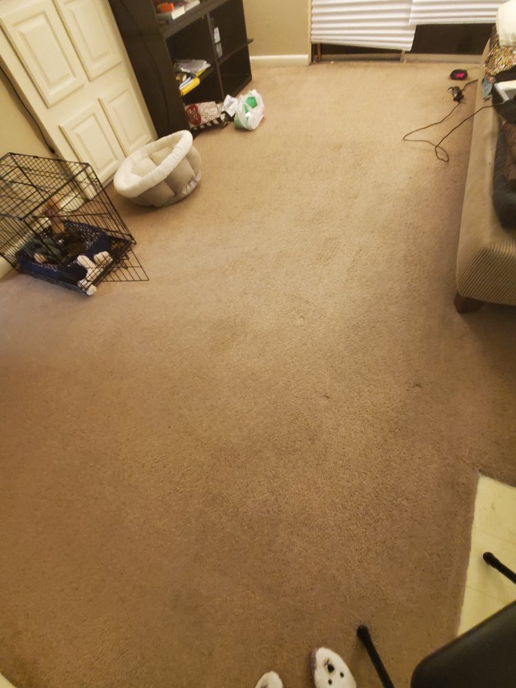 TEX A CLEAN CARPET CARE Updated October 2024 39 Photos & 13 Reviews