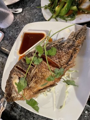 Tony Thai Restaurant by null