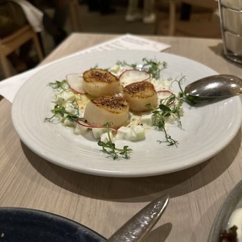 Zaytinya - Scallops - Greek Near Me - Washington, DC, District of Columbia