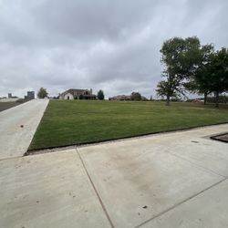 NaturaLuxe Lawns - My front lawn.