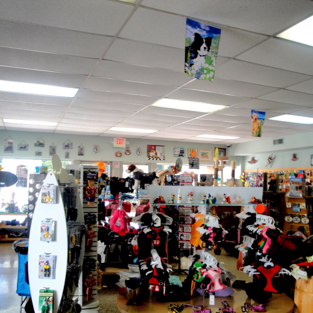 Paws On the Avenue - Pet Training Near Me - Worth Beach, Florida Paws On the Avenue - Pet Training Near Me - Worth Beach, Florida