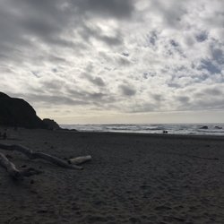 Seaside Creek Beach - Logs