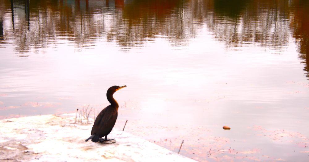 EISENHOWER PARK - Updated January 2026 - 1007 Photos & 261 Reviews