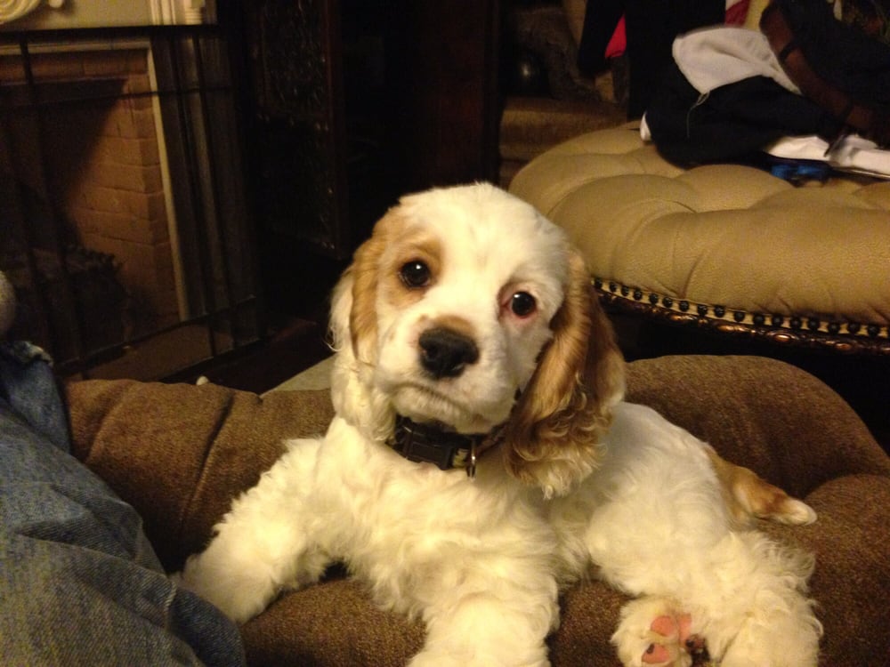 Slide of Ford Roofing Service