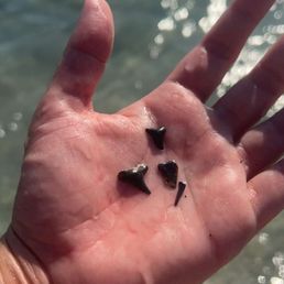 Tiny treasures. May 2024