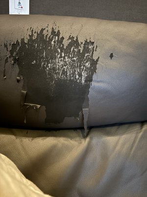 CMX CinéBistro Halcyon by null