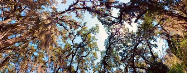 Cannon's Point Preserve by null