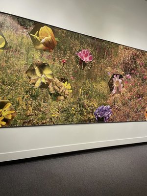 Museum of Arts and Sciences by null