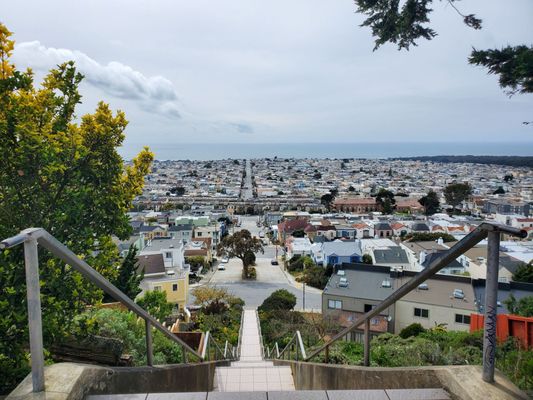16th Avenue Tiled Steps by null