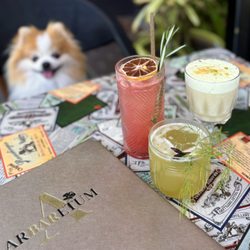 Arbaretum at Napa Valley Distillery - Bacán: Pisco w/ pistachio orgeat, lime, pistachio foam ($19), Zen: Cachaca w/ oolong shochu, pandan ($19), Gazoz Mocktail ($12)