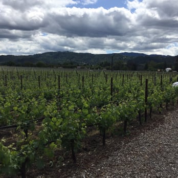 Opus One Winery - Famous vineyard - Wineries Near Me - Oakville, California