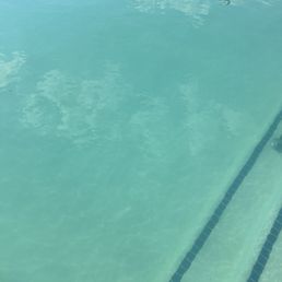 The pool at Margo 6/26/24 The pool at Margo 6/26/24