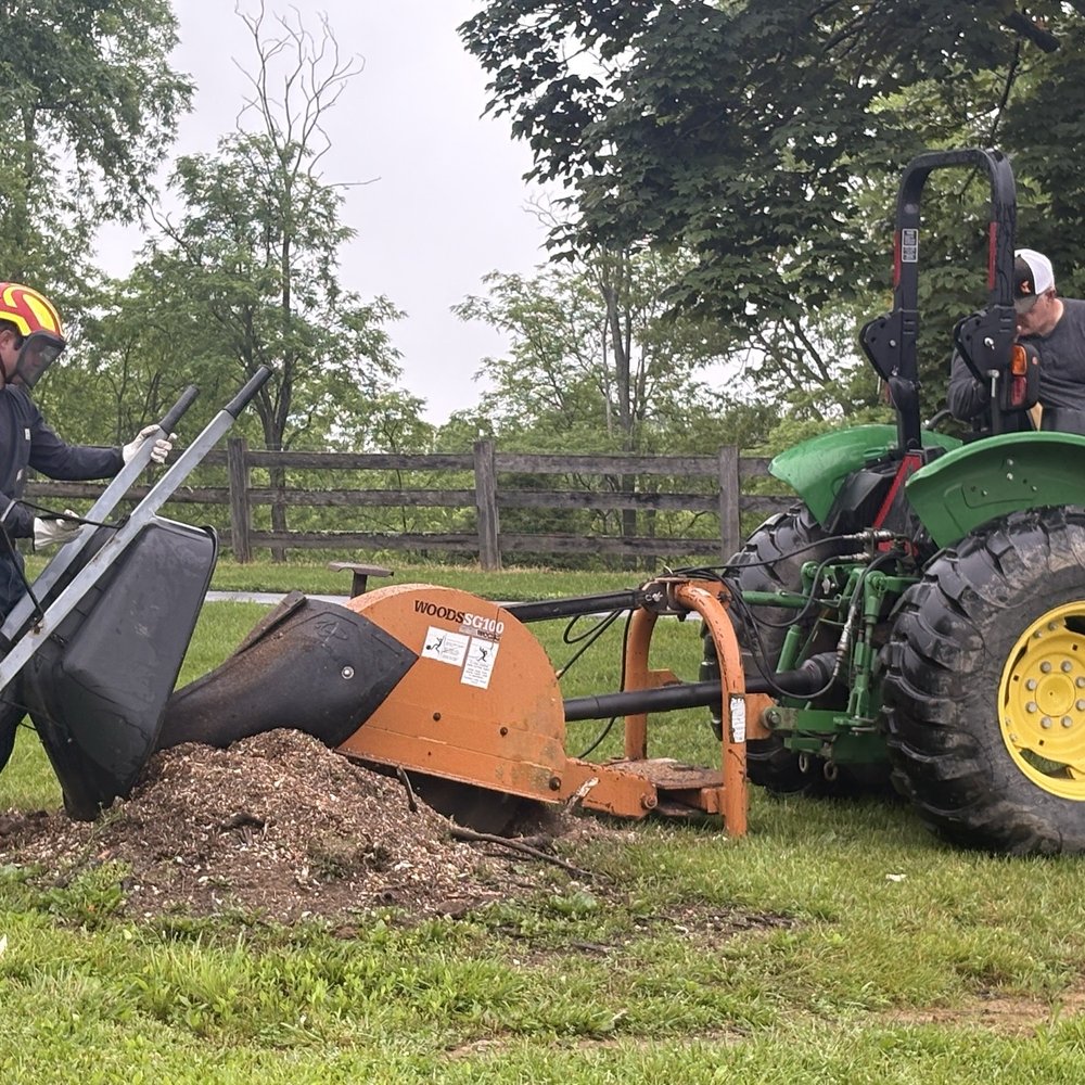 Right Hand Mann - Maple stump grinding - Tree Services Near Me Right Hand Mann - Maple stump grinding - Tree Services Near Me