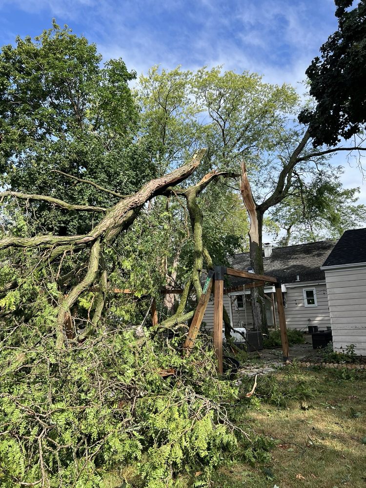 RGP Tree Service - tree service in Chicago, IL