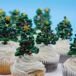 Weeki Wachee Candy - Christmas cupcakes