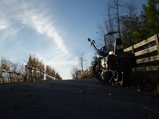 Wolf Mountain Vineyards by null