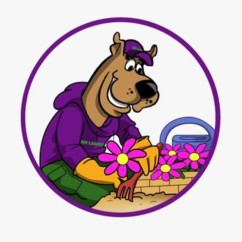 Mr Lawns - Mr.Lawns - Lawn Services Near Me
