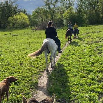 Millbrook Trail Rides - Trail ride at Millbrook Trail Rides - Horseback Riding Near Me - Newark, Illinois