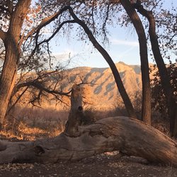 Village of Corrales - The bosque trail in Corrales