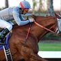 Photo of Los Alamitos Race Course