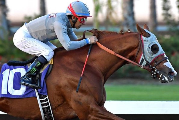 LOS ALAMITOS RACE COURSE 394 Photos 136 Reviews 4961 Katella Ave 