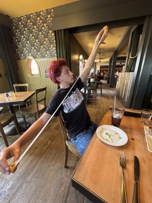 HopMonk Tavern Sonoma by null