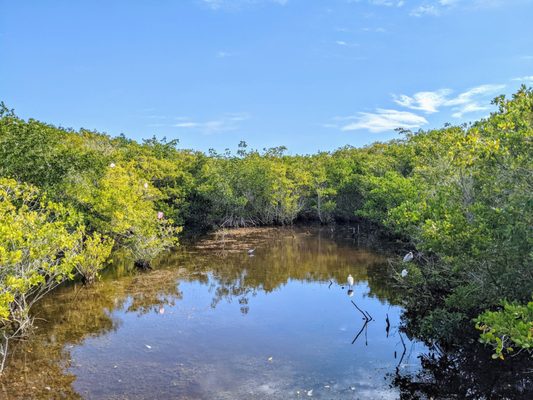 J.N. "Ding" Darling National Wildlife Refuge Visitor and Education Center by null