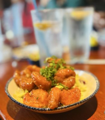 Red Lobster by null