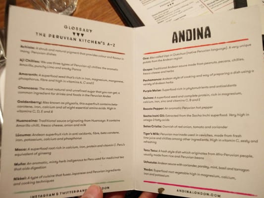 Menu photo 4 Andina London, XGL