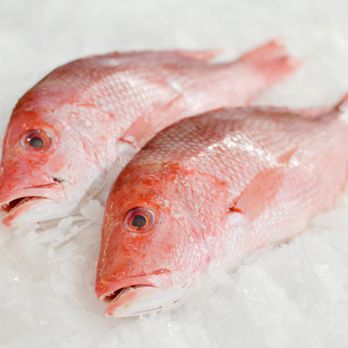 Pierless Fish Corporation - Seafood Markets Near Me - Brooklyn, New York