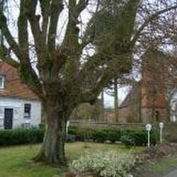 Gasthaus Landidyll - Gasthaus & Pension Landidyll in 16909 Heiligengrabe