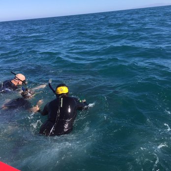 Marlin Adventures - Scuba Diving Near Me - La Paz, BCS