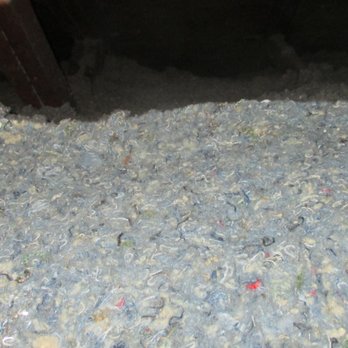 Blue Sky Insulation - New cellulose insulation blown into attic. - Insulation Installation Near Me