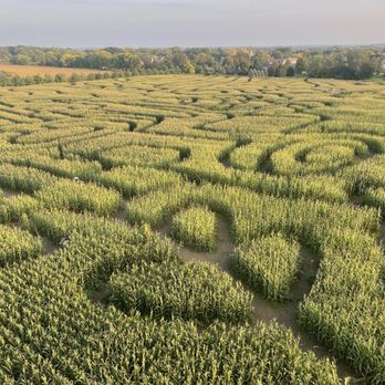 Richardson Farms - Christmas Trees Near Me - Spring Grove, Illinois