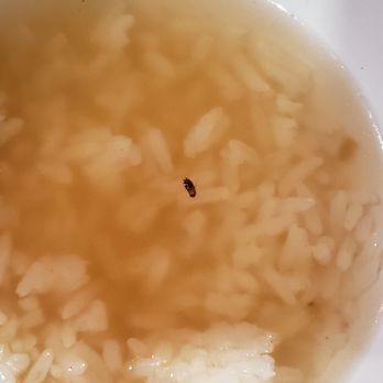 Pho 45 - cockroach in the found! - Vietnamese Near Me - Garden Grove, California Pho 45 - cockroach in the found! - Vietnamese Near Me - Garden Grove, California