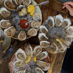 Loco Taqueria & Oyster Bar - $1 Oysters