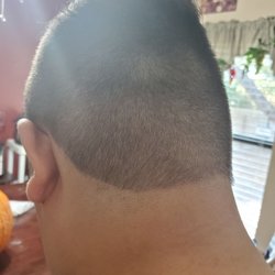 Great Clips - Horrible job for just lining him up!!