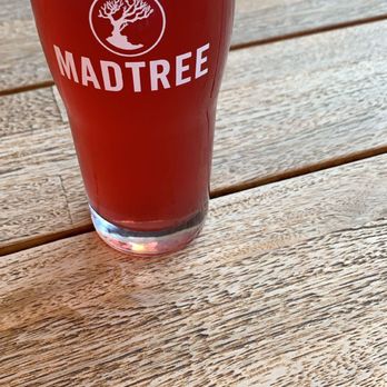 MadTree Brewing - Shade // ABV 4.6% - Breweries Near Me - Cincinnati, Ohio MadTree Brewing - Shade // ABV 4.6% - Breweries Near Me - Cincinnati, Ohio