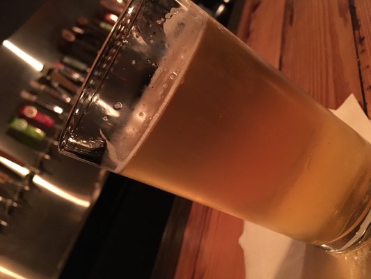 The Beer Plant by null