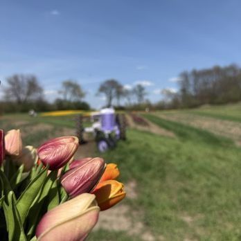 KUIPERS FAMILY FARM - Updated July 2025 - 335 Photos & 264