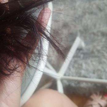 Milo - It's all damaged and I lost a lot of hair after that. I didn't have any options but to cut my hair. If you LIKE your hair, DO NOT GO THERE! - Painters Near Me - Laval, Quebec Milo - It's all damaged and I lost a lot of hair after that. I didn't have any options but to cut my hair. If you LIKE your hair, DO NOT GO THERE! - Painters Near Me - Laval, Quebec
