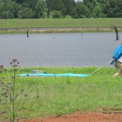Flat Creek Public Fishing Area