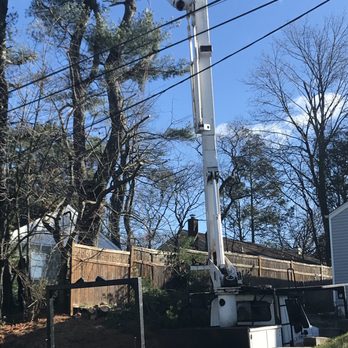 United Tree Service - Snow Removal Near Me United Tree Service - Snow Removal Near Me