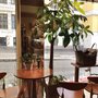 Photo of Bonita Café & Flowers