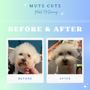 Photo of Mutz Cutz