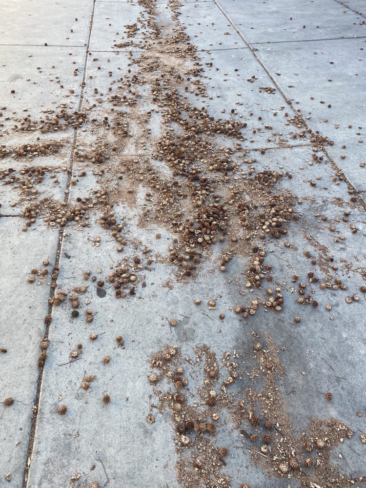 Slide of Four Seasons Roofing