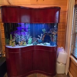 The Aqua King Aquarium Service - A very unique fish only saltwater aquarium. We service this system once a month. Our focus is thebhealth of your aquarium!