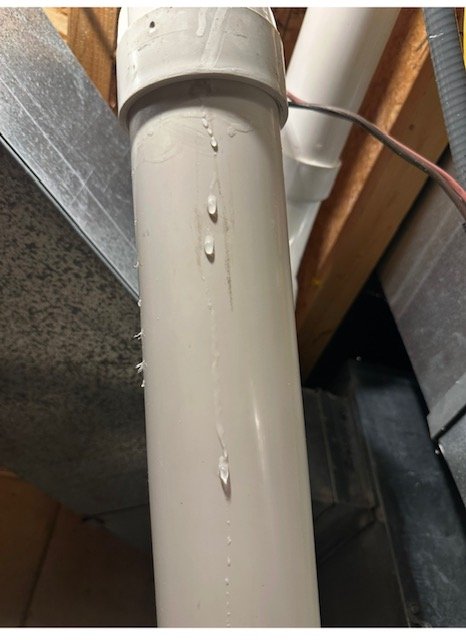 Slide of Peterman Brothers