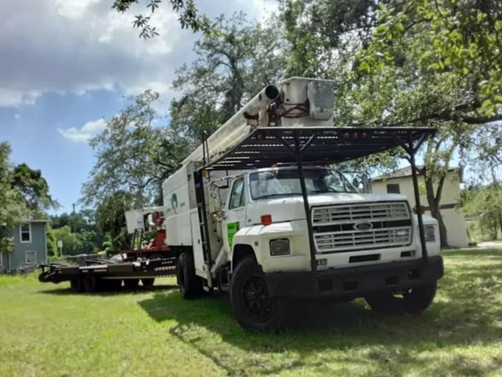 Mustelier Tree Trimming Services - tree service in Tampa, FL