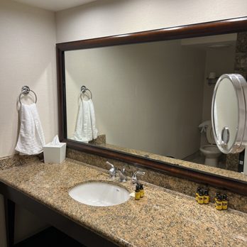Best Western Plus Island Palms Hotel & Marina - Bathroom was nice... - San Diego, CA